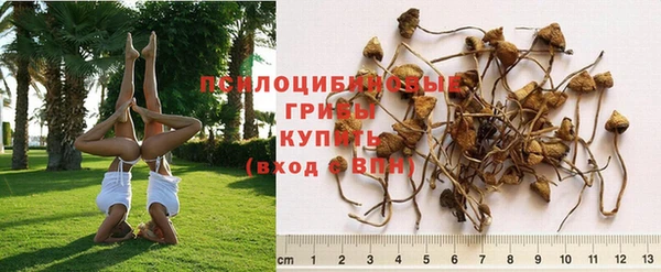 меф Дмитров