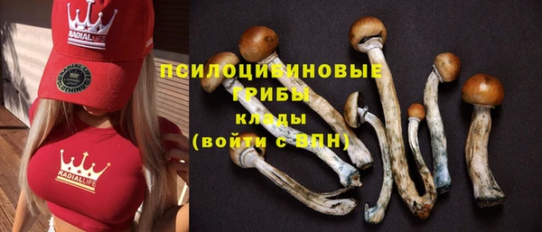 героин Дмитриев