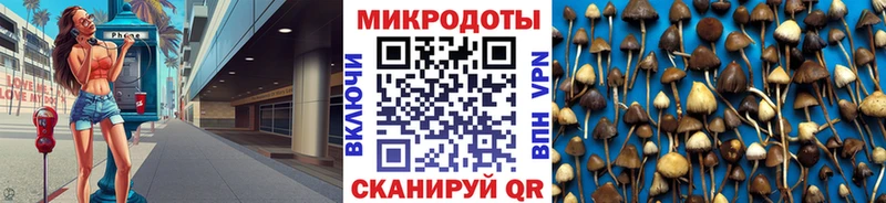 Купить закладки Сызрань Галлюциногенные грибы мицелий
